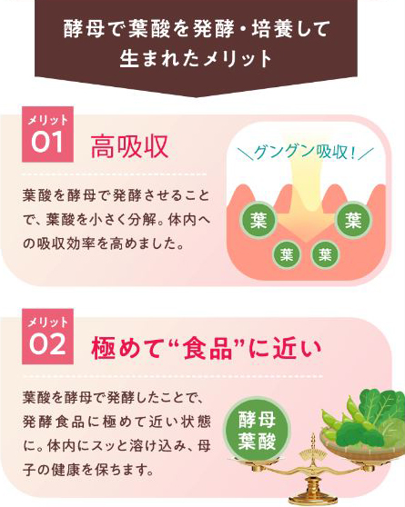 葉酸を酵母で発酵.培養して生まれたメリット２